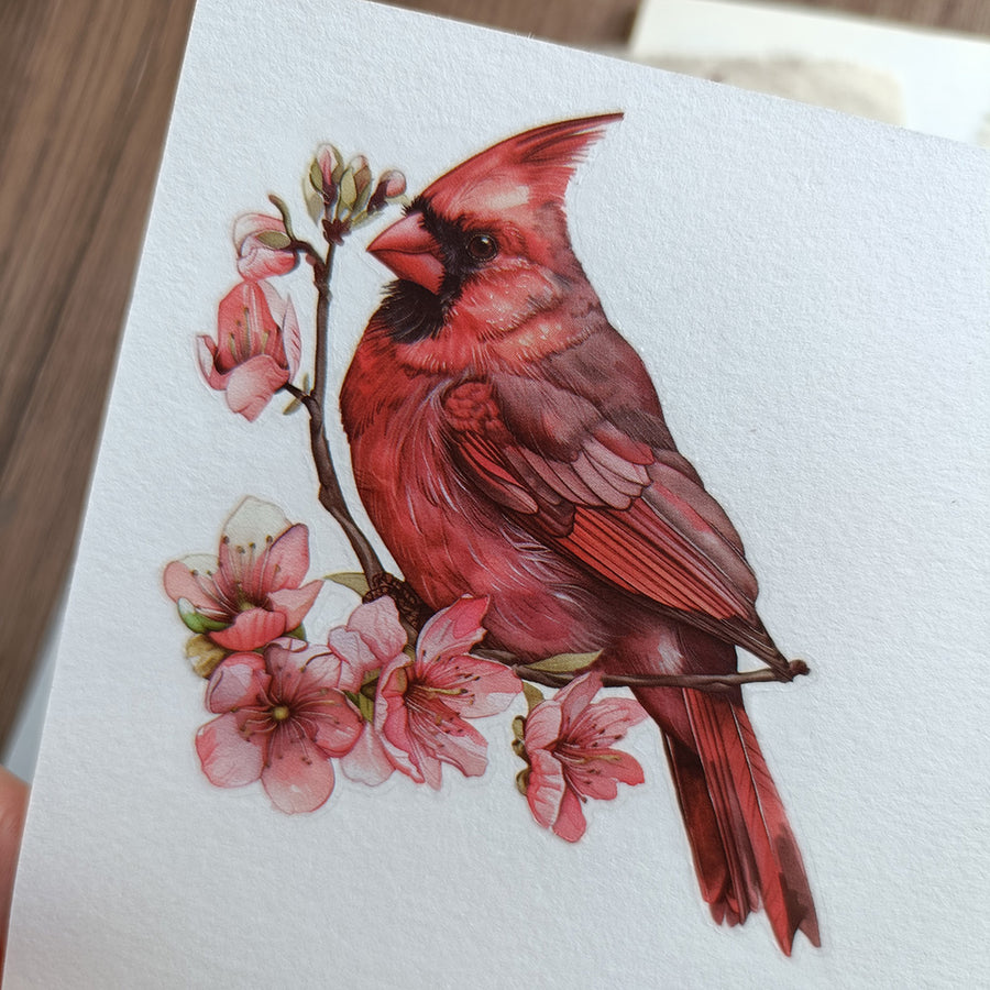 Red Cardinal Rub On Stickers
