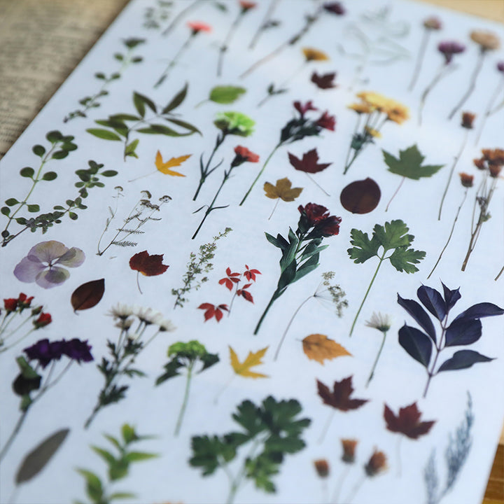 rub on transfer decals