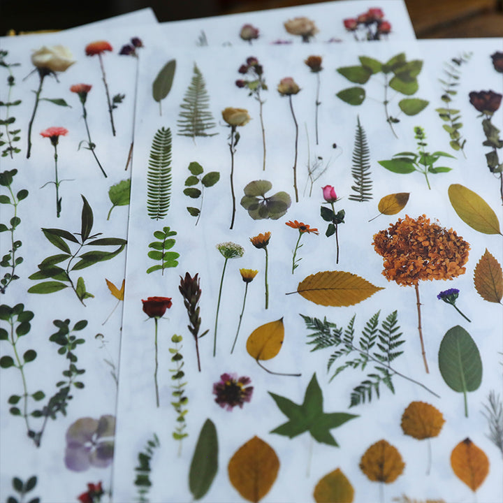 plant transfer sticker for card making