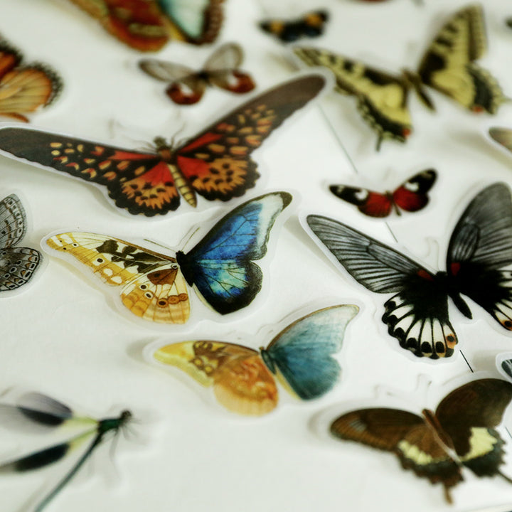 cute aesthetic butterfly stickers