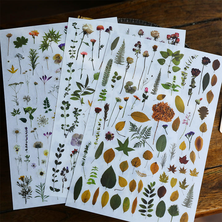 vinyl transfer stickers for scrapbook